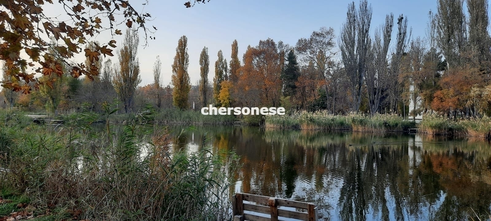 Участок на продажу в СТСевастополь ( Алькадар), СНТ Алькадар фото №4