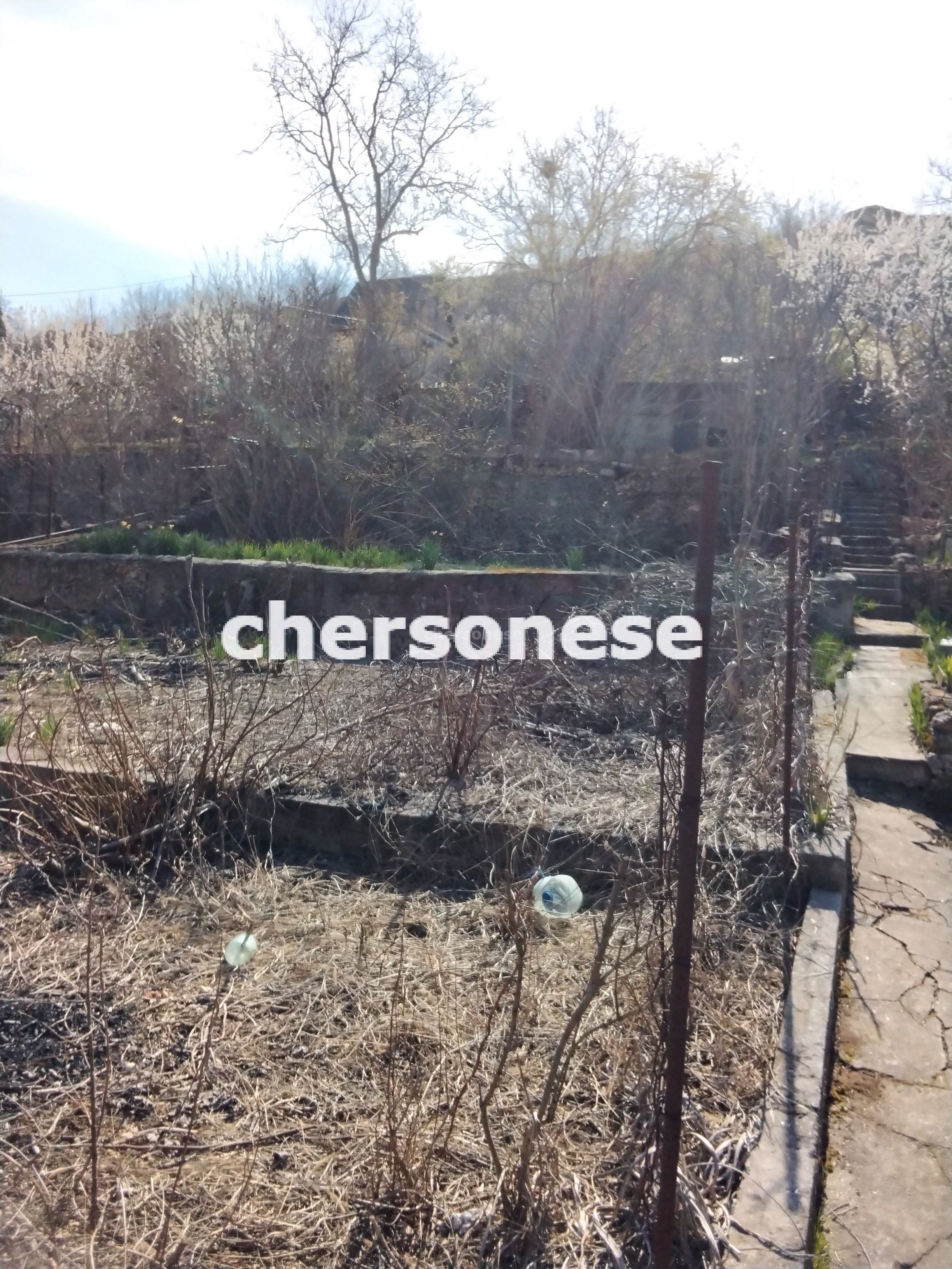 Участок на продажу в садовом товариществеСевастополь ( Энергетик-1), СНТ Энергетик-1 фото №0