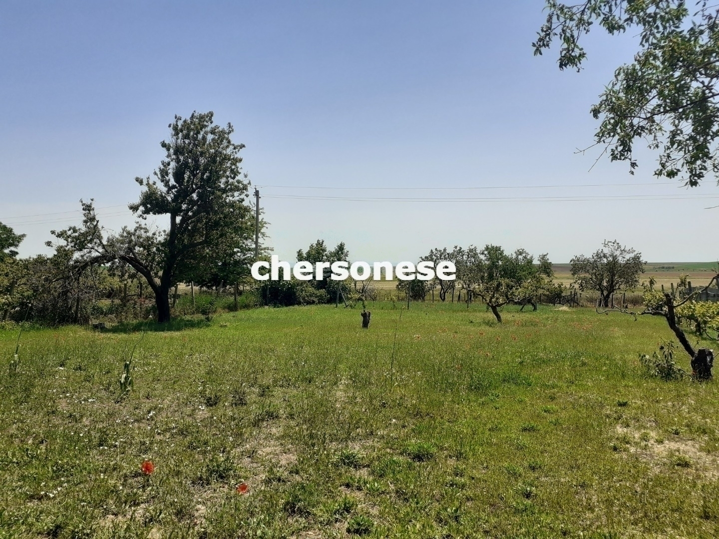 симферопольский район деревня равнополье. атан азс 29 симферополь. дтп в симферопольском районе в с. село равнополье симферопольский район администрации. шаепа село равнополье крым.