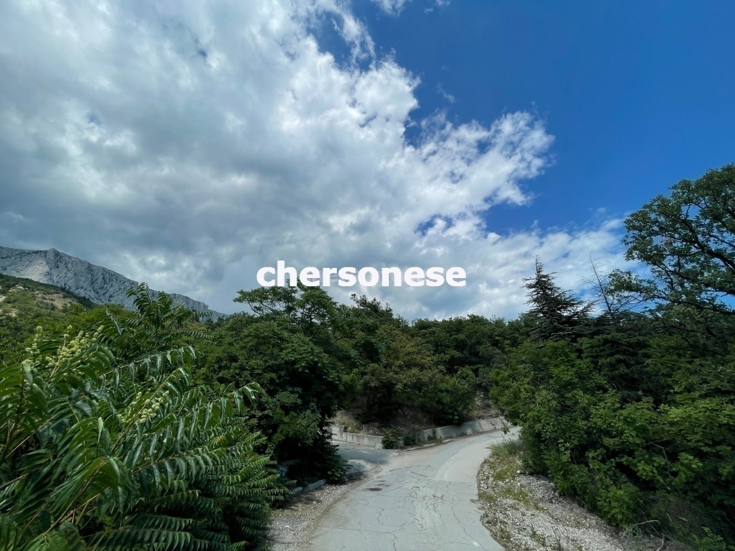 Участок на продажу в Береговом, улица Кипарисная фото №4