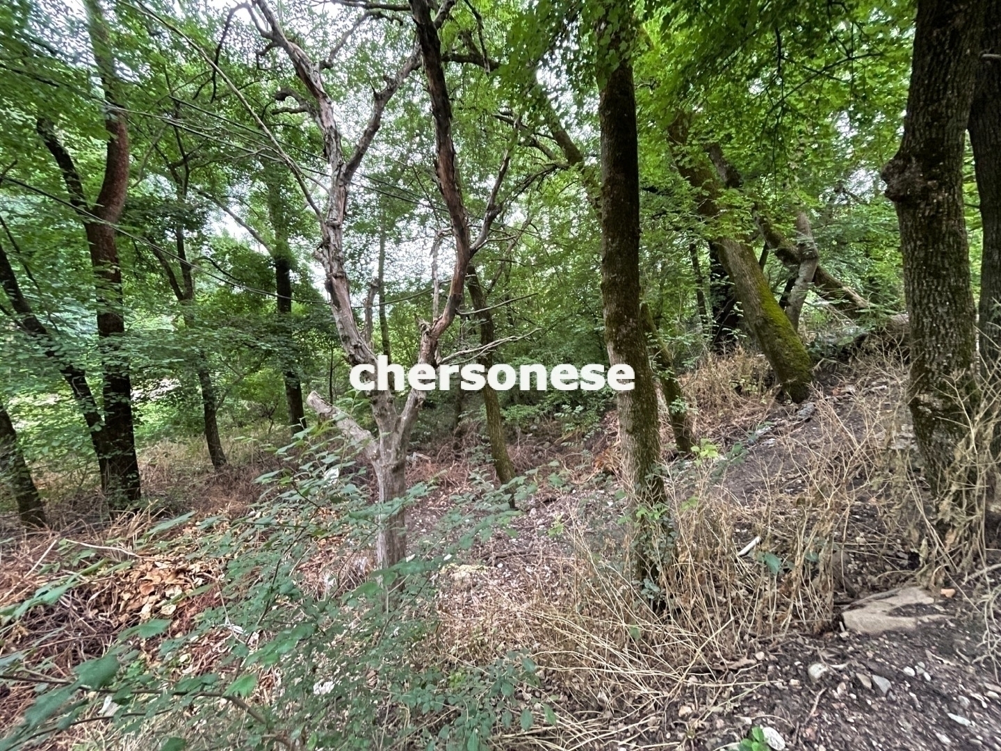 Участок на продажу в Даниловке, улица Красная фото №1