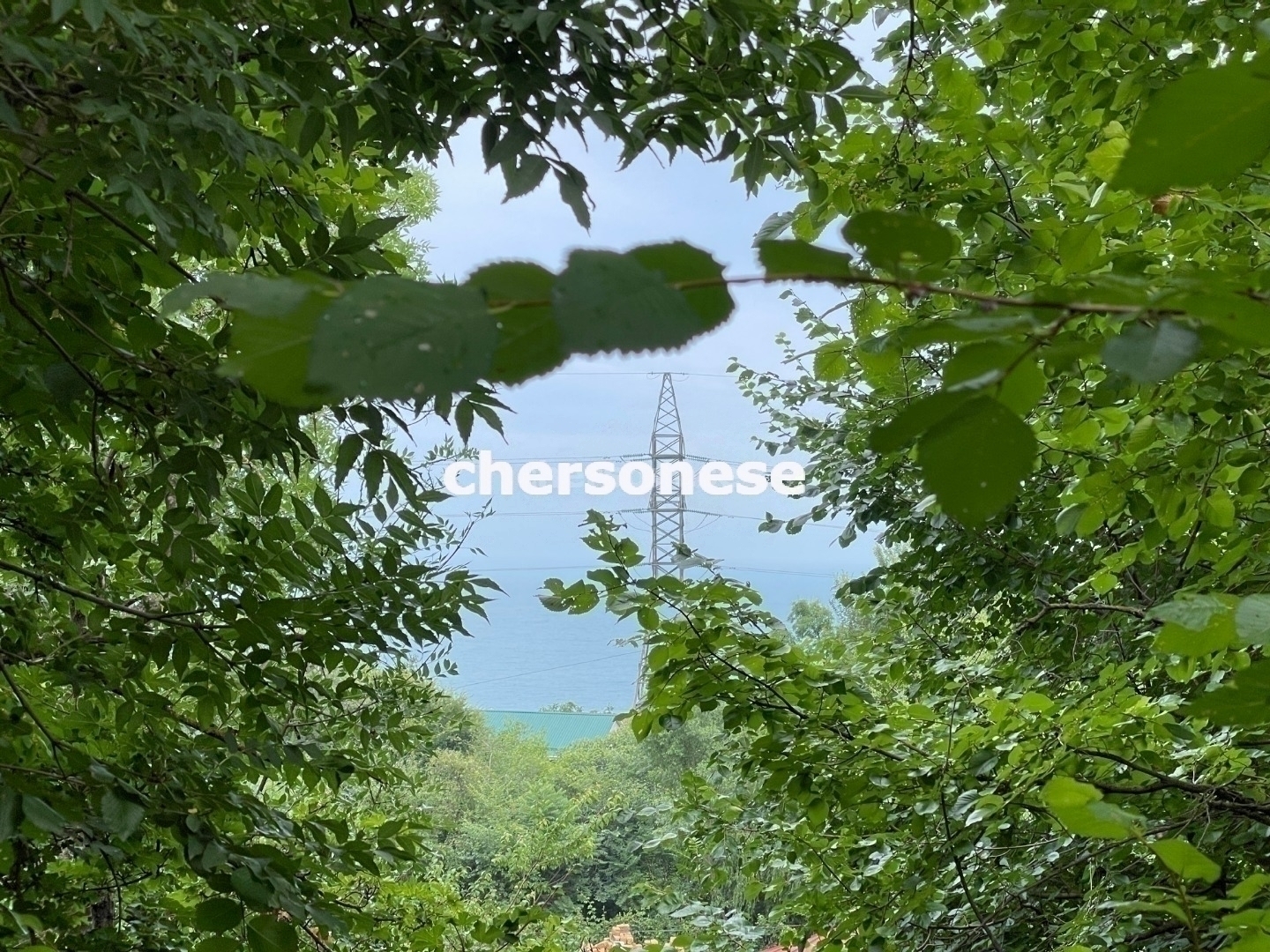 Участок на продажу в Даниловке, улица Красная фото №4