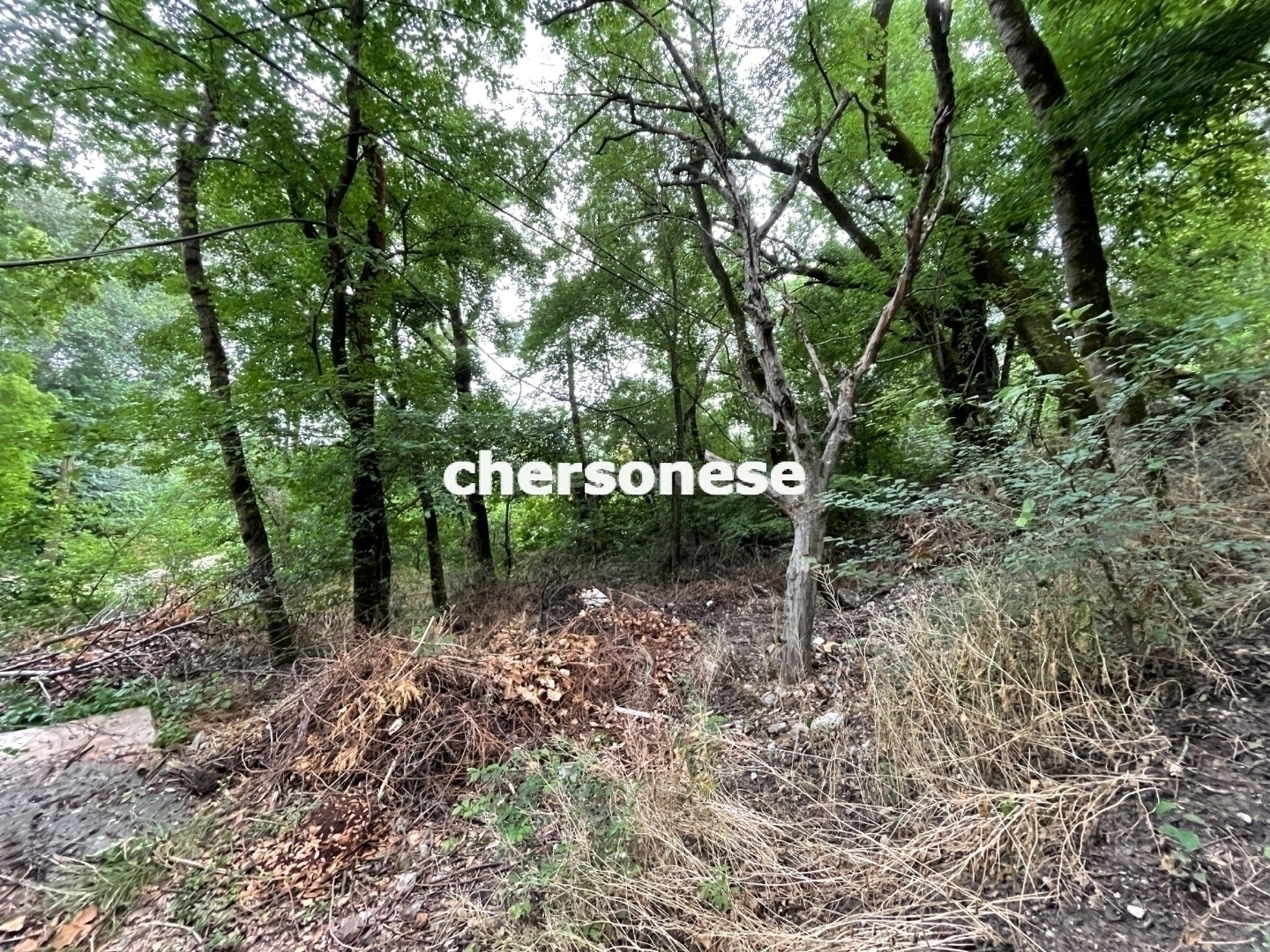 Участок на продажу в Даниловке, улица Красная фото №6