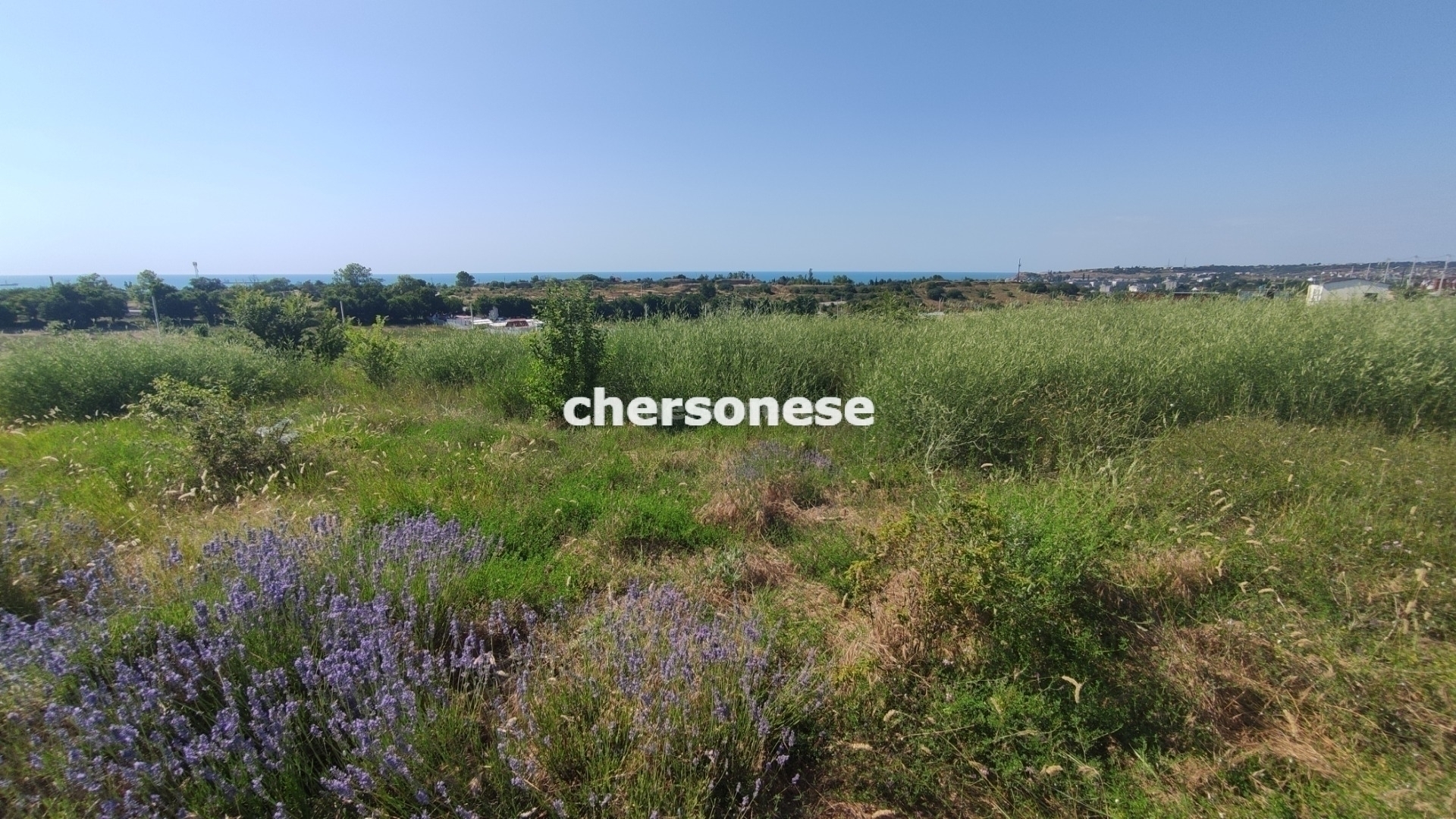 Участок на продажу в Севастополе (Любимовка), улица Софьи Перовской фото №2