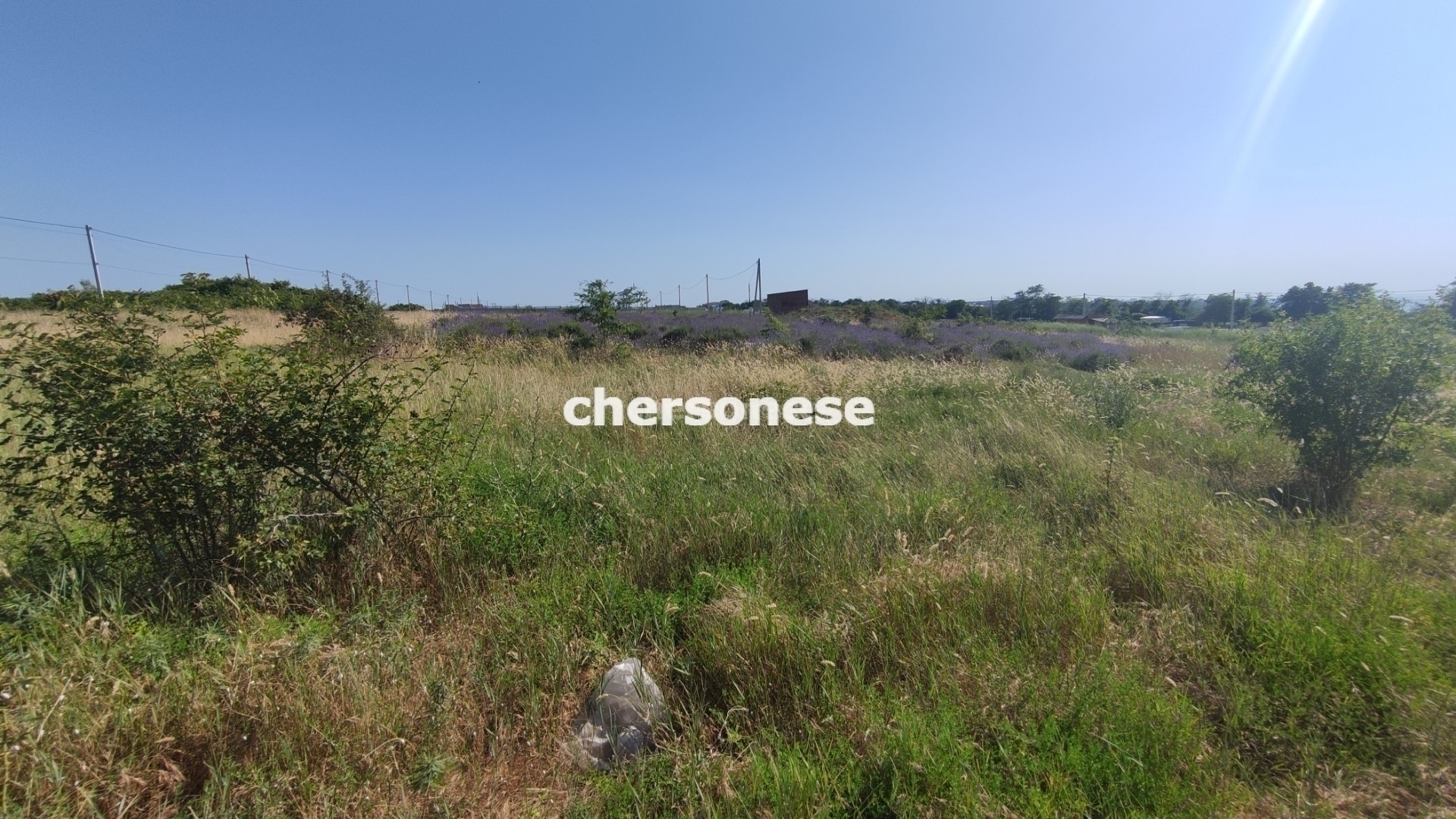 Участок на продажу в Севастополе (Любимовка), улица Софьи Перовской фото №3