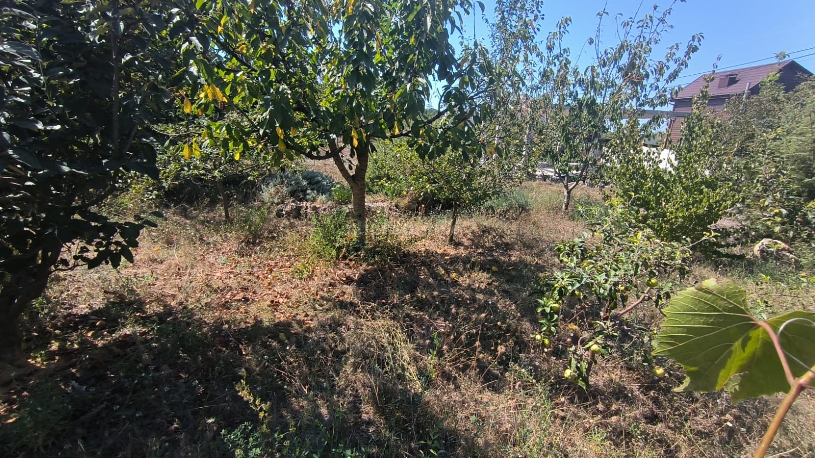 Дача на продажу в садоводческом товарищество Медик-88, СНТ Медик-88 фото №15