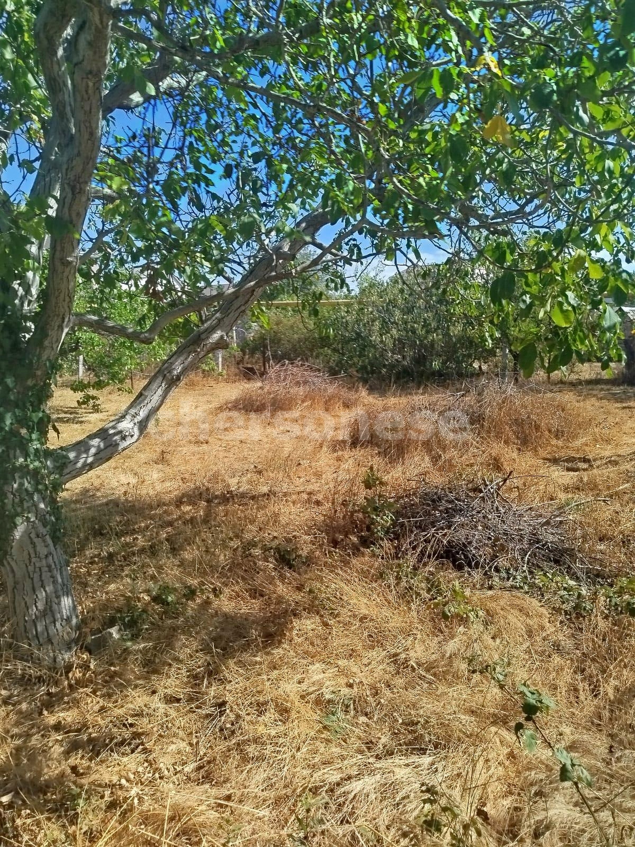 Продажа участка, Севастополь, территория СТ Садовод