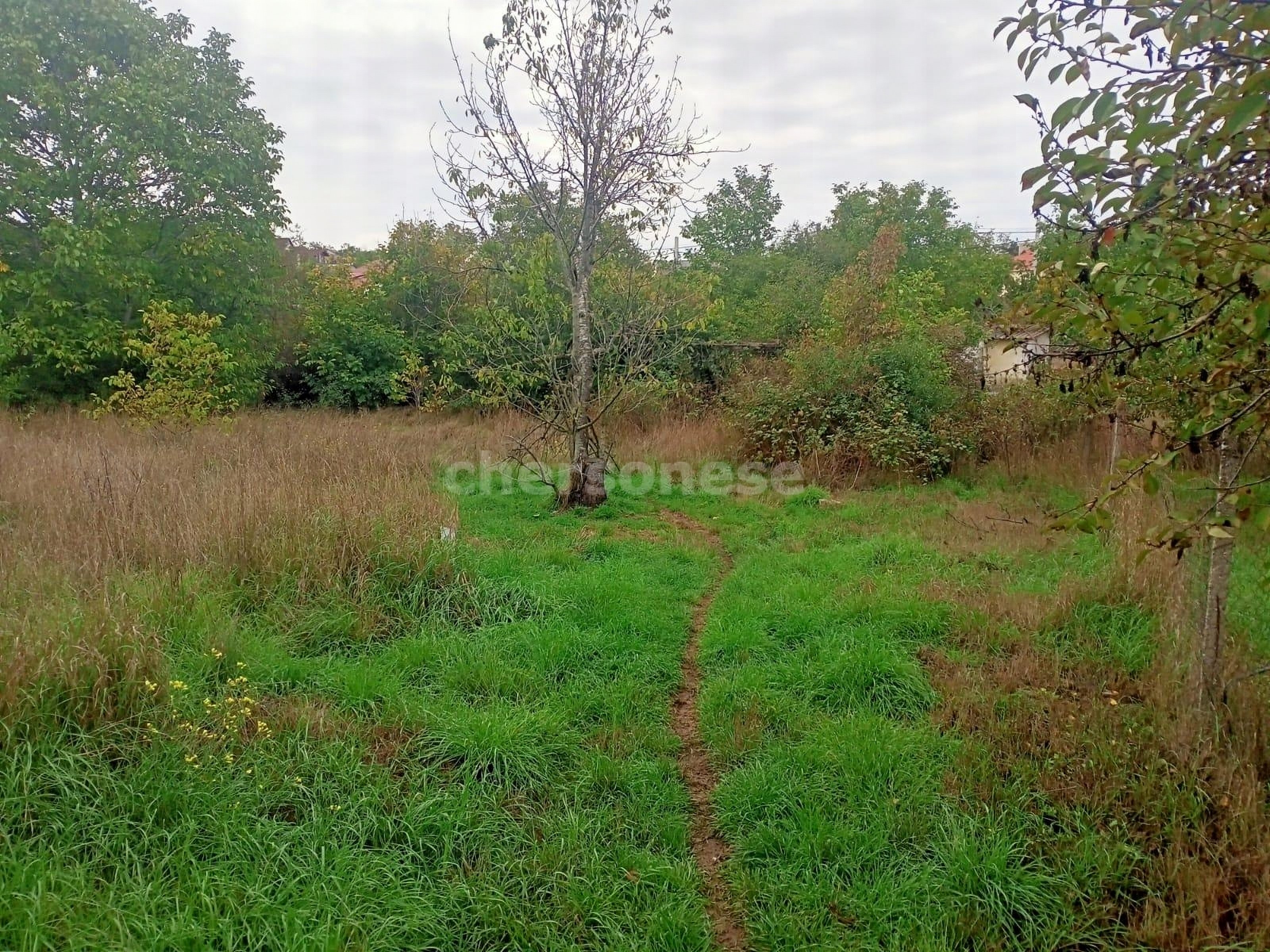 Продажа участка, Севастополь, территория СТ Строитель-2