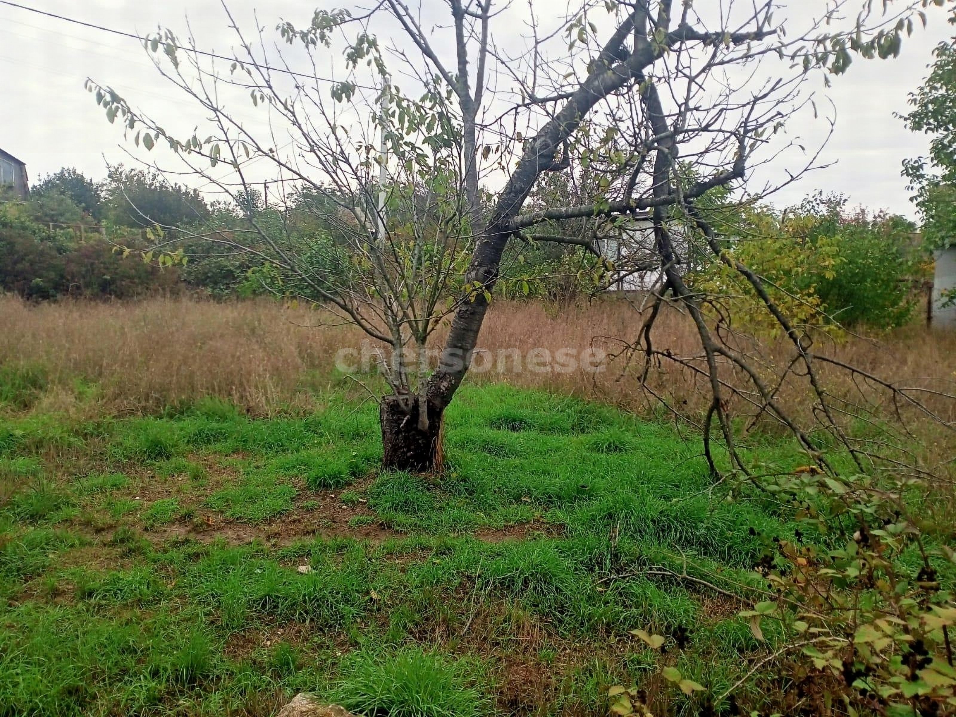 Продажа участка, Севастополь, территория СТ Строитель-2