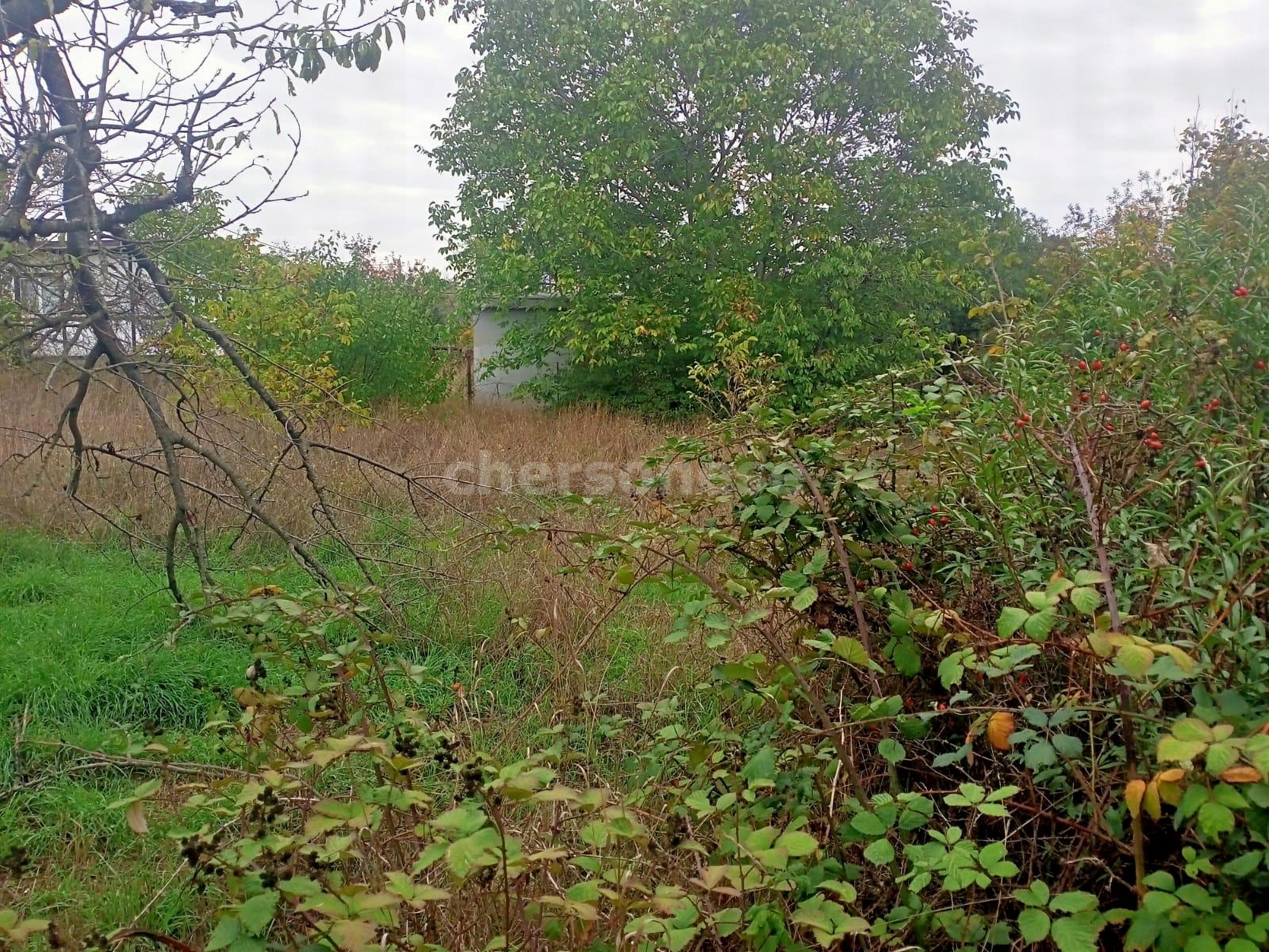 Продажа участка, Севастополь, территория СТ Строитель-2