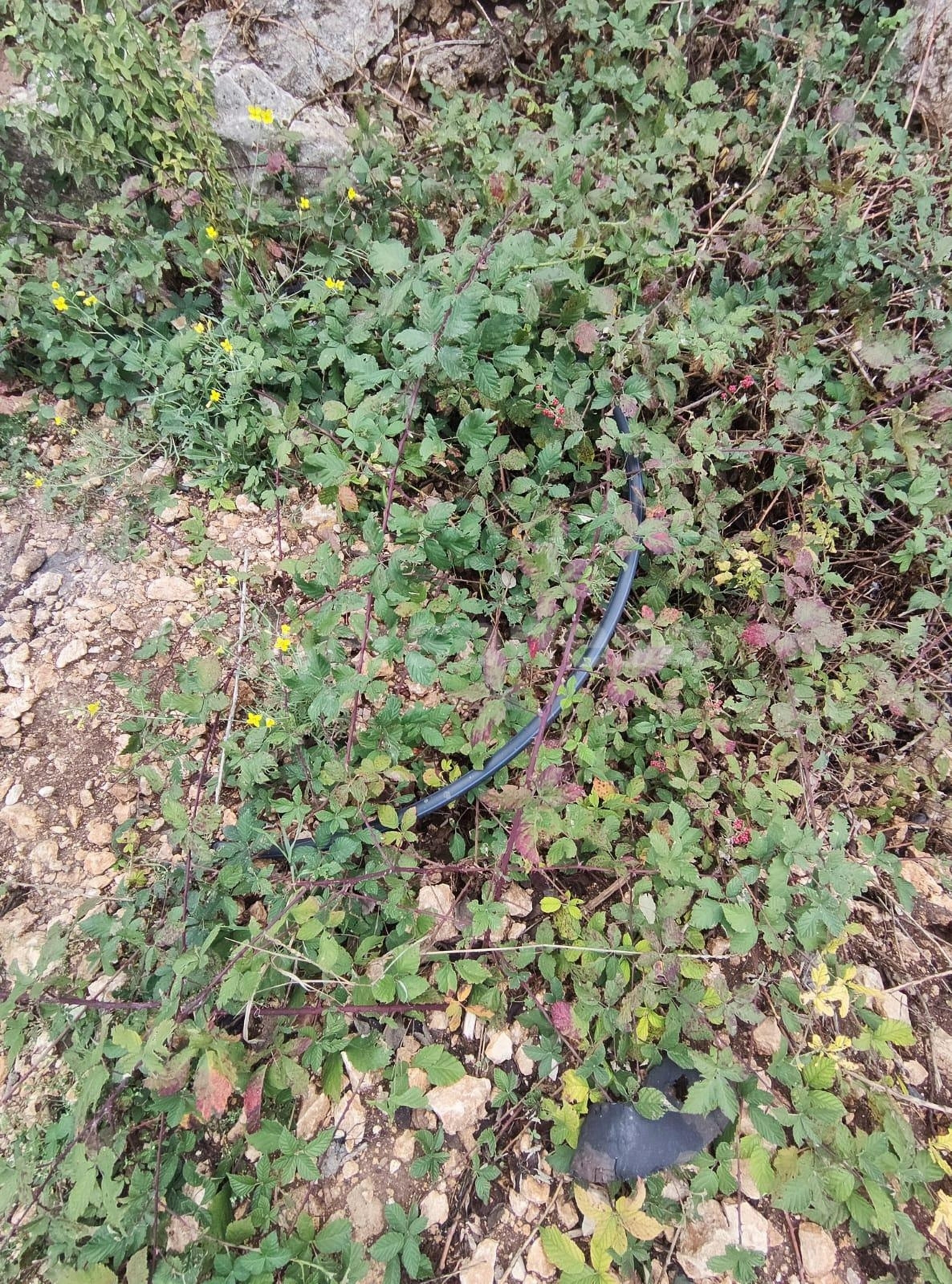 Продажа участка, Севастополь, территория СТ Дельфин