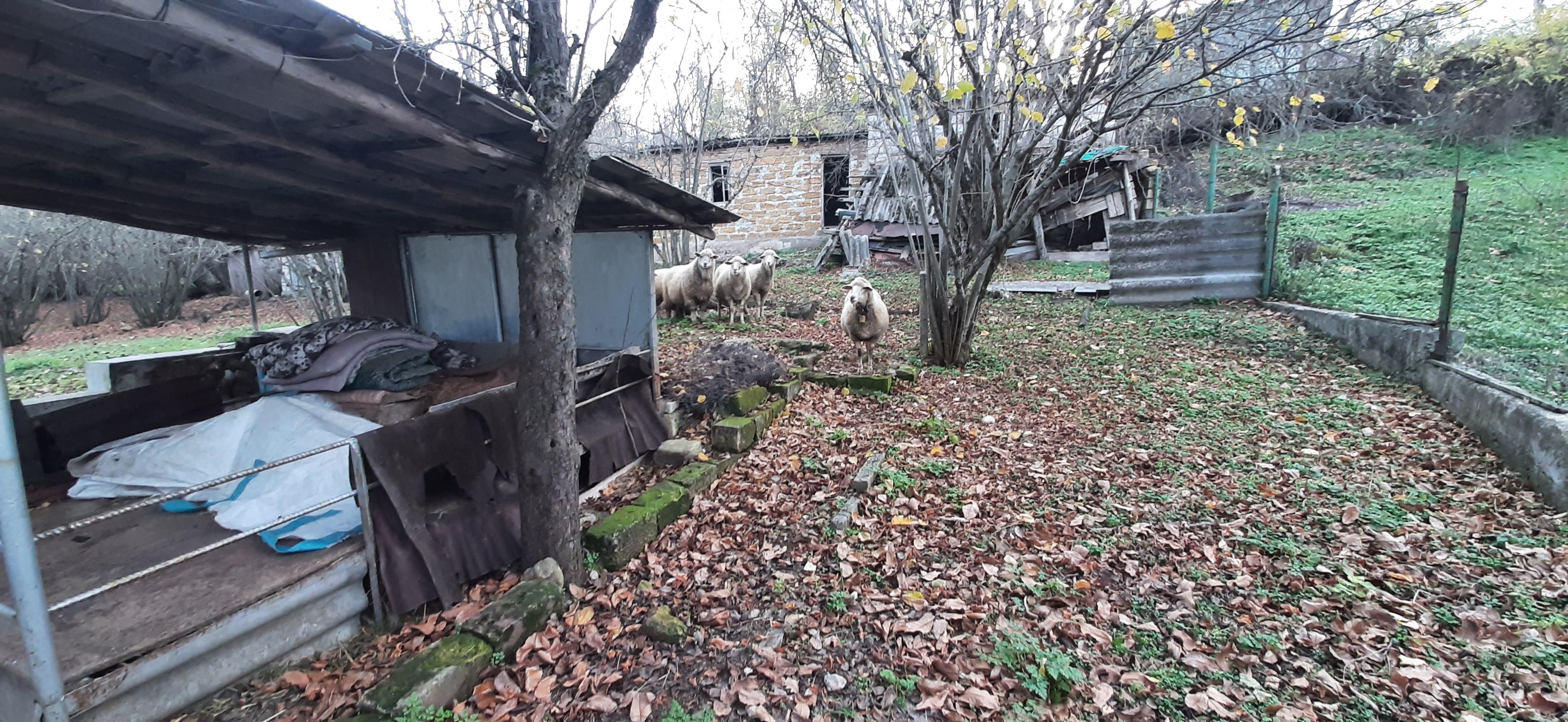 Продажа участка, Высокое, улица Куйбышевская