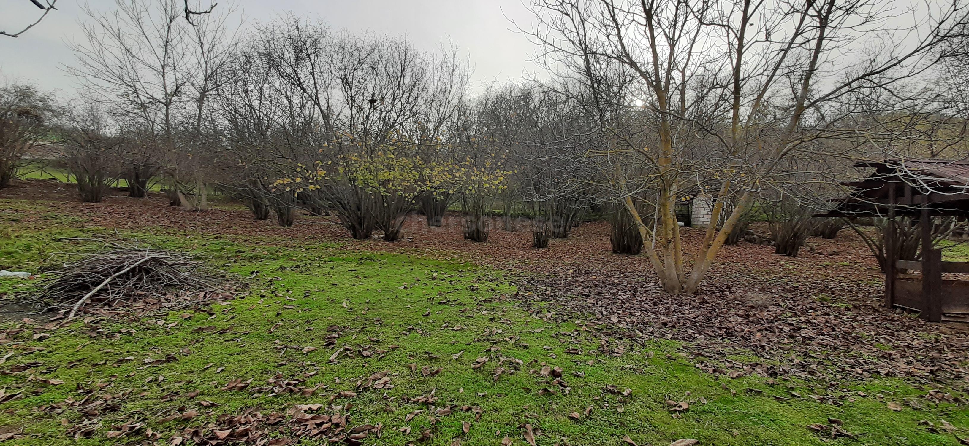 Продажа участка, Высокое, улица Куйбышевская