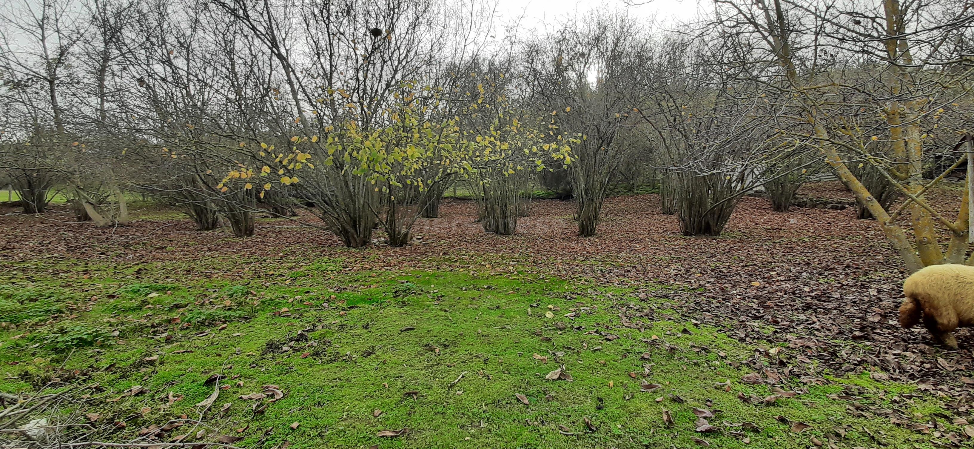 Продажа участка, Высокое, улица Куйбышевская