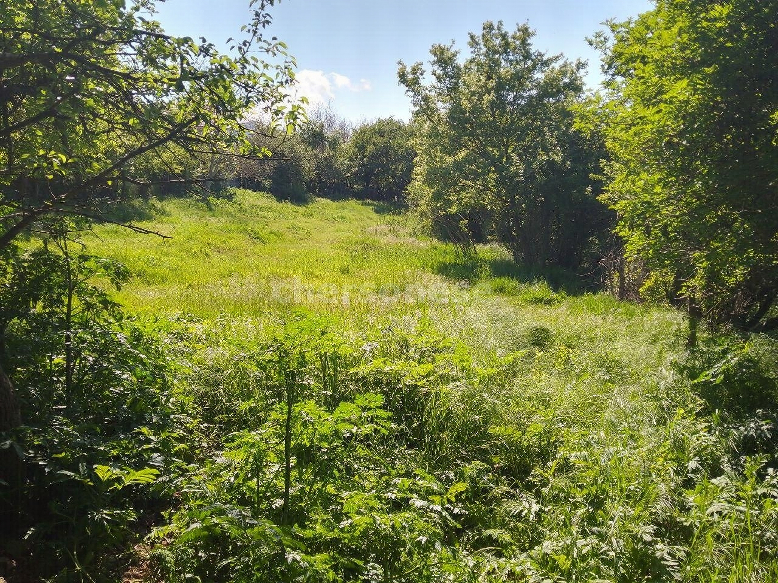 Продажа участка, Севастополь, улица Спортивная