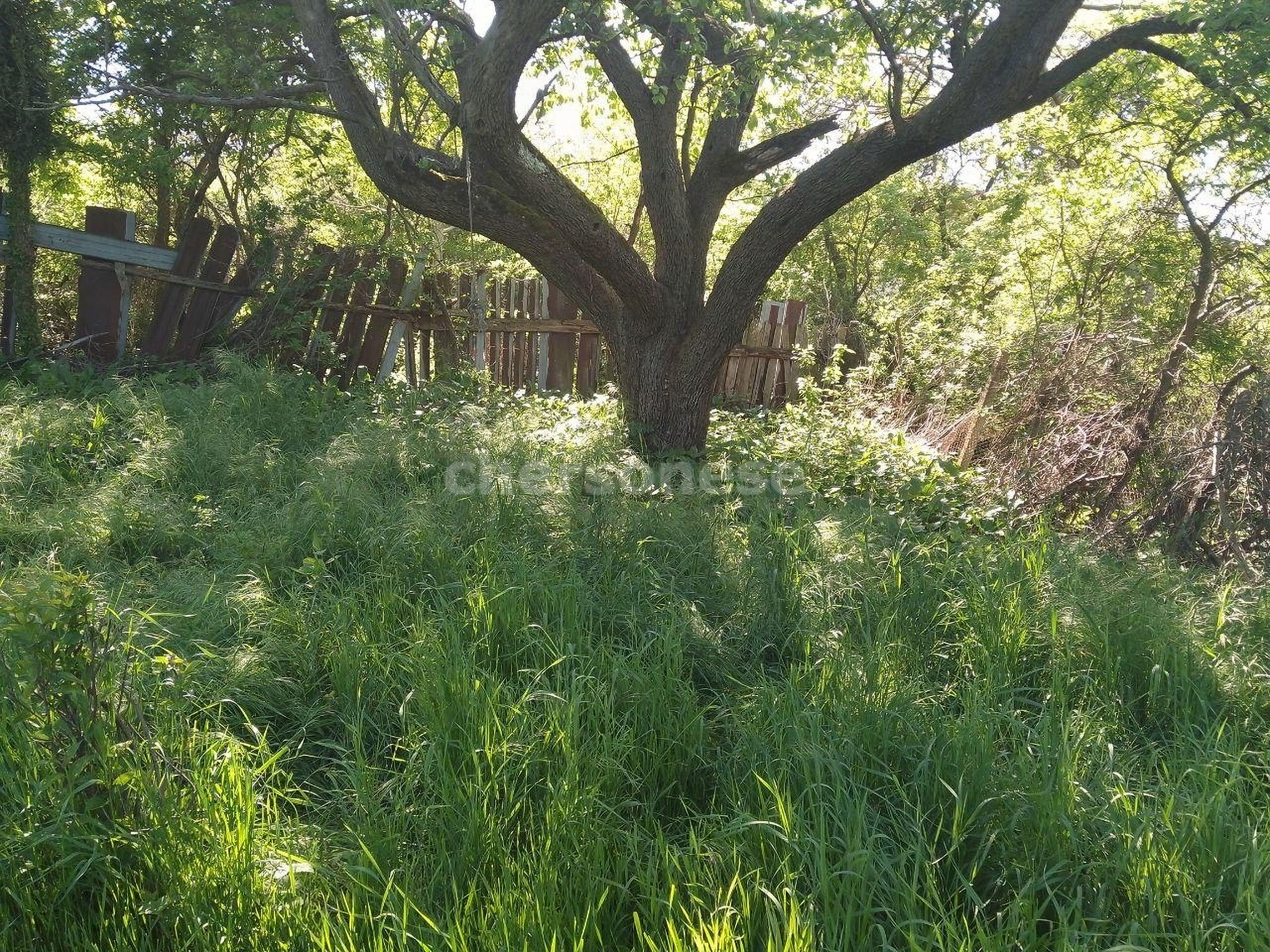 Продажа участка, Севастополь, улица Спортивная