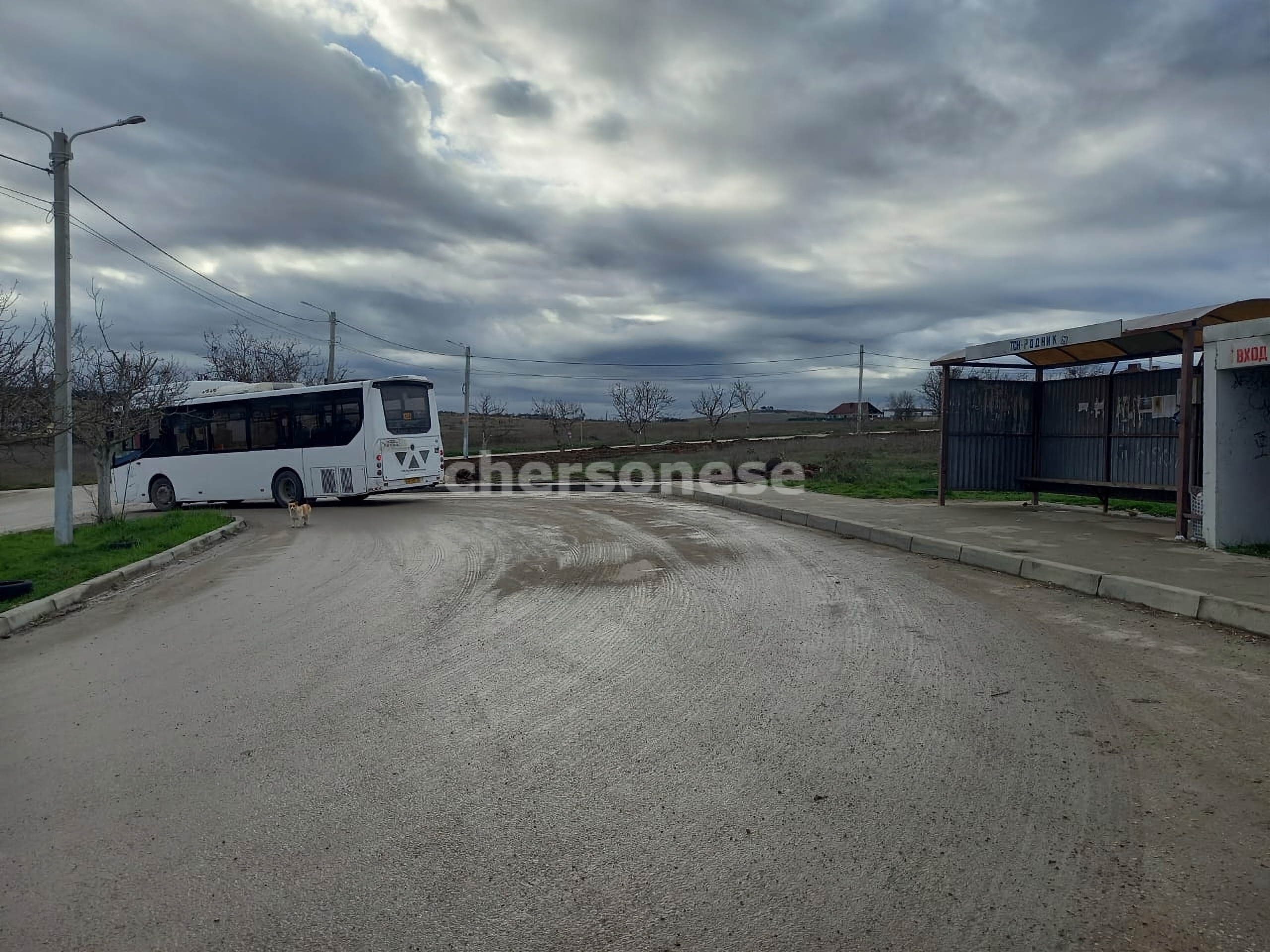 Продажа участка, Севастополь, территория СТ Родник