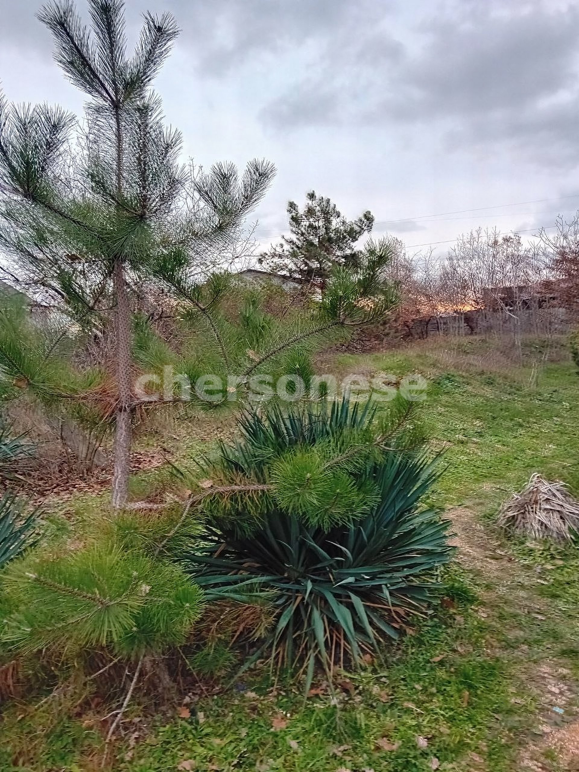 Продажа участка, Севастополь, территория СТ Гавань