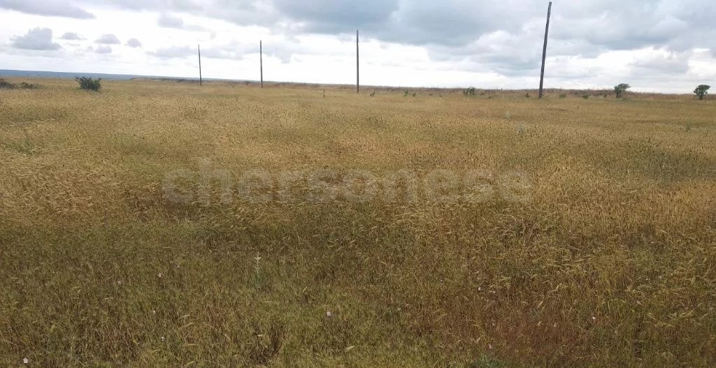 Участок на продажу в Севастополе, территория СТ Лукулл фото №0