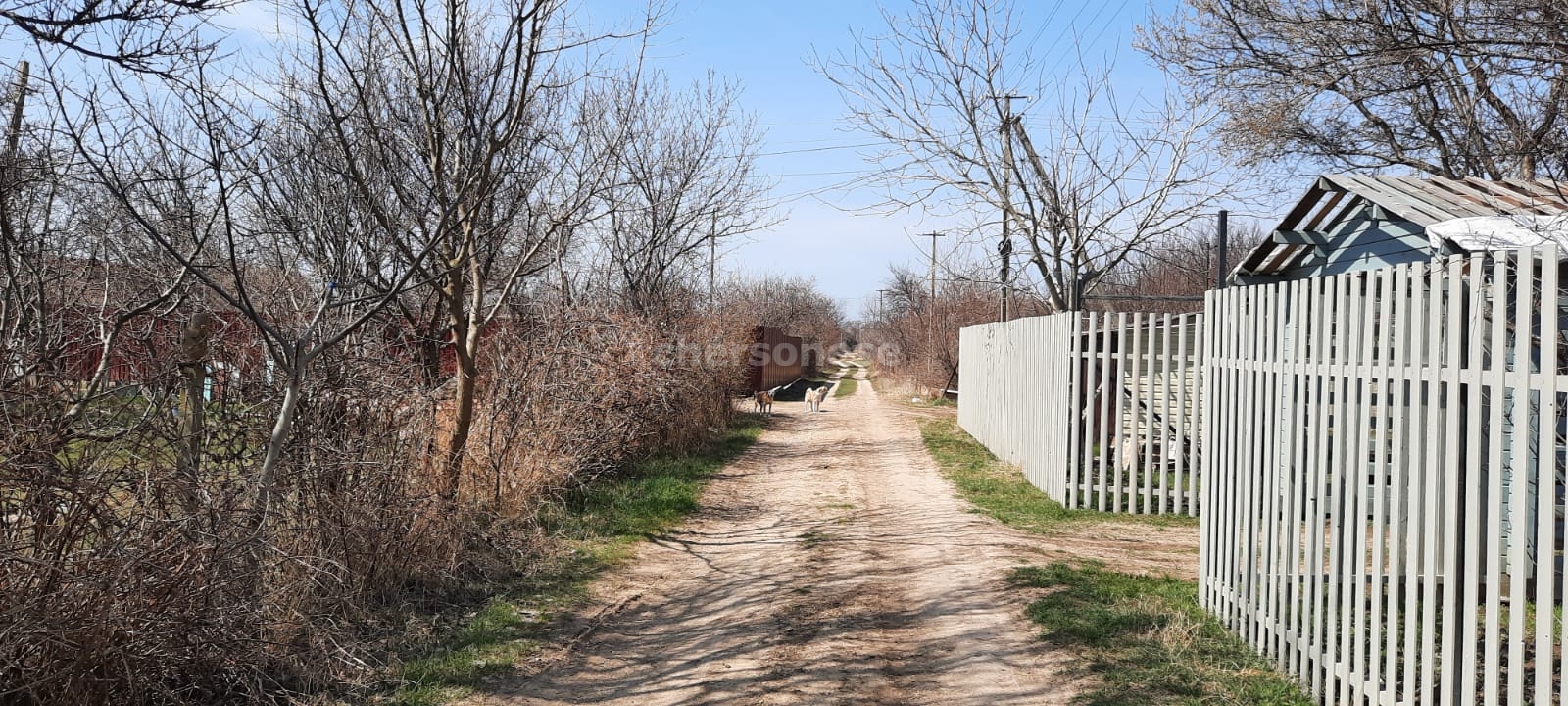 Участок на продажу в СТсадоводческое товарищество Алмаз ( Алмаз), СНТ Алмаз фото №3