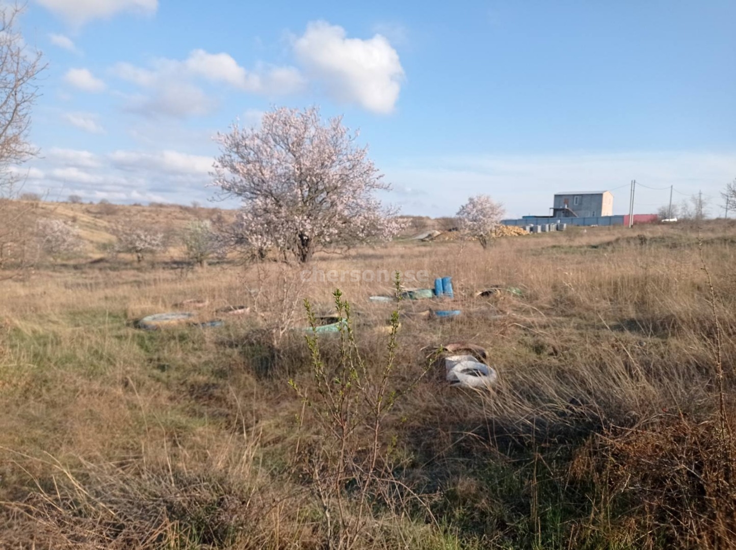 Участок на продажу в садовом товариществеСевастополь ( Северный Бриз), СНТ Северный Бриз фото №3