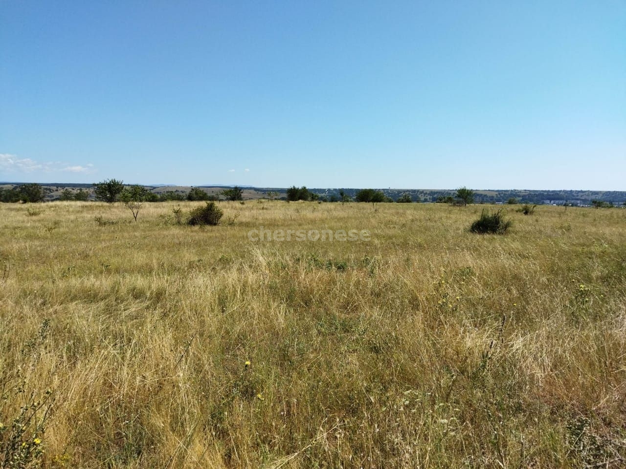 Участок на продажу в Полюшко, улица Молодежная фото №3