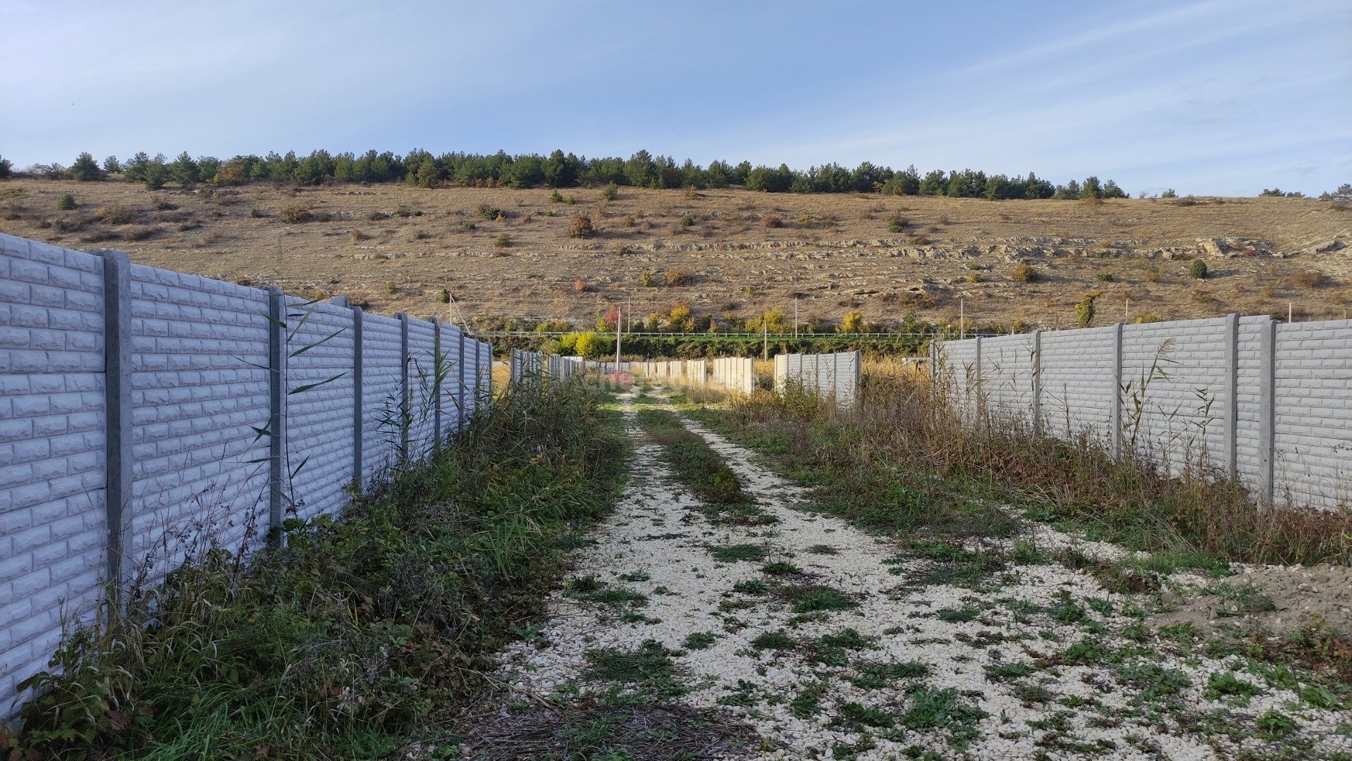 Село фруктовое Севастополь. Улица Виноградная Севастополь село Полюшко фотографии.