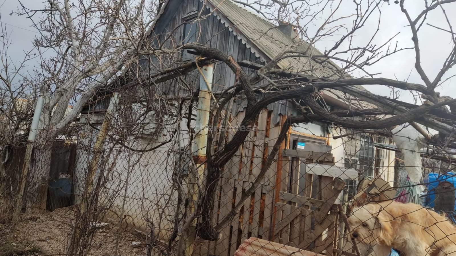 Купить Дом В Севастополе Снт Эдельвейс