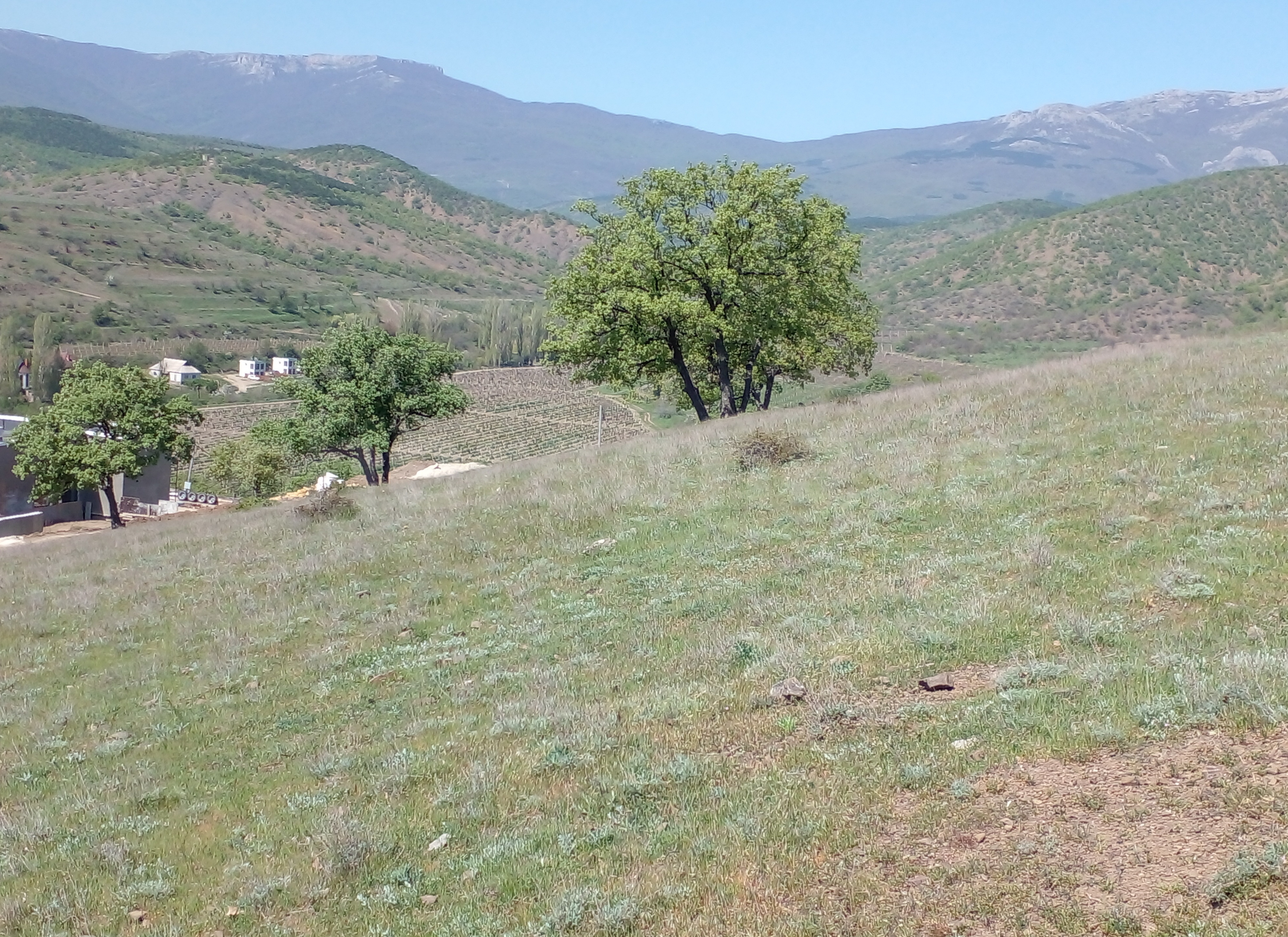 Крым Село Первомайское Купить Участок Ижс