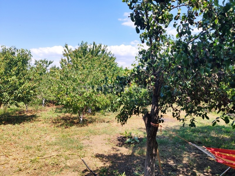 Дом на продажу в Угловом, улица Комарова фото №6