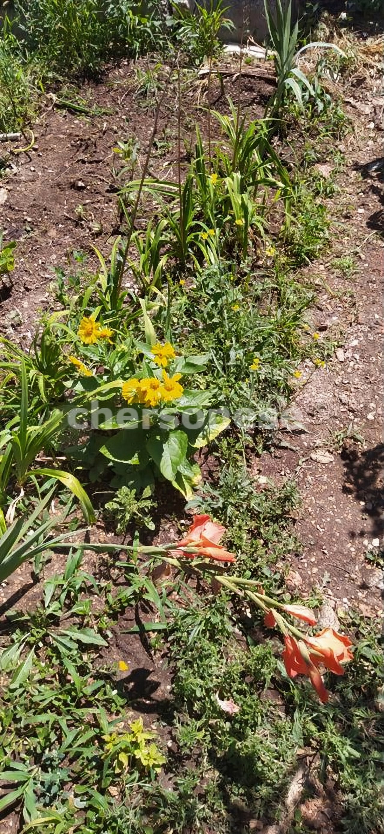 Продажа участка, Севастополь, территория СТ Восход