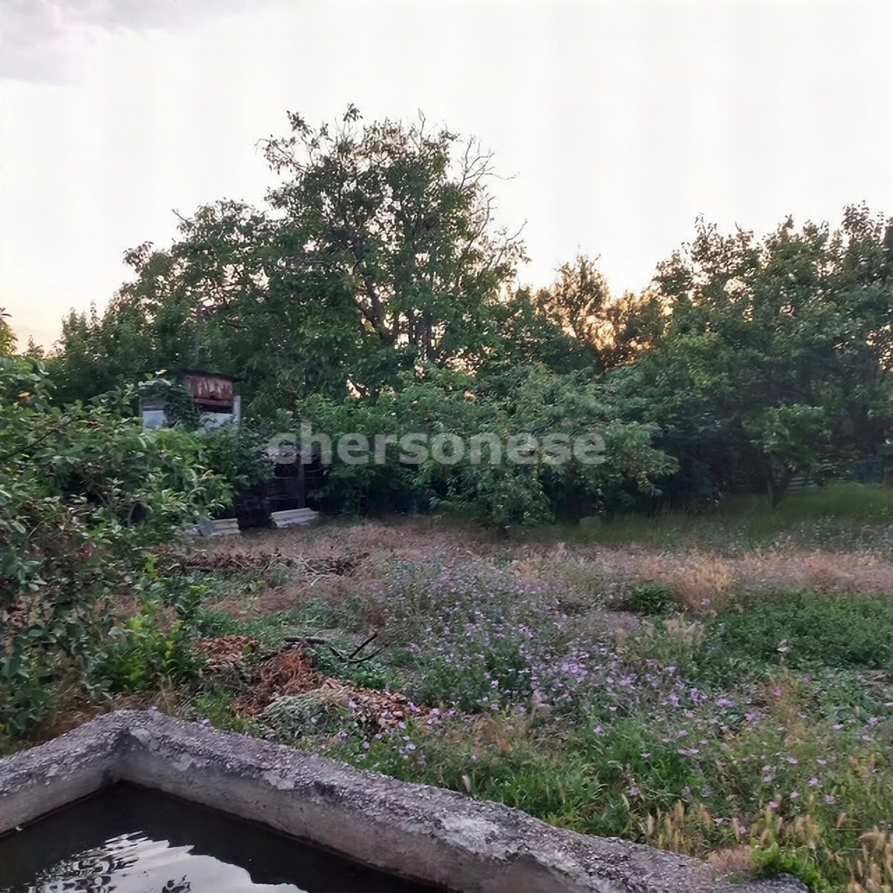 Продажа участка, Севастополь, территория СТ Берёзка