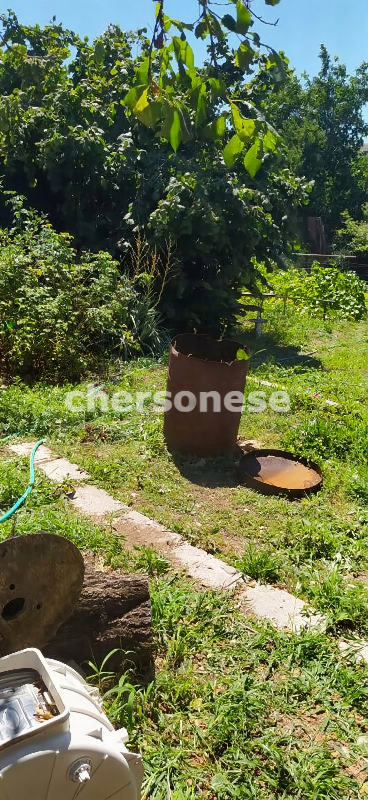 Продажа участка, Севастополь, территория СТ Восход