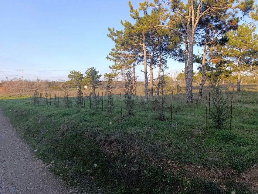 Продажа дома, 130м <sup>2</sup>, 4 сот., Севастополь, территория СТ Фронтовик