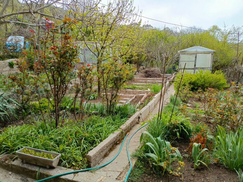 Продажа дачи, 18м <sup>2</sup>, 5 сот., Севастополь, территория СТ Тополек