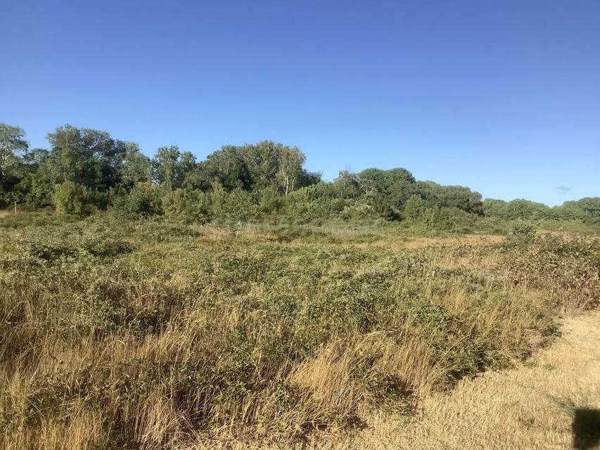 Продажа участка, Севастополь, улица Речная