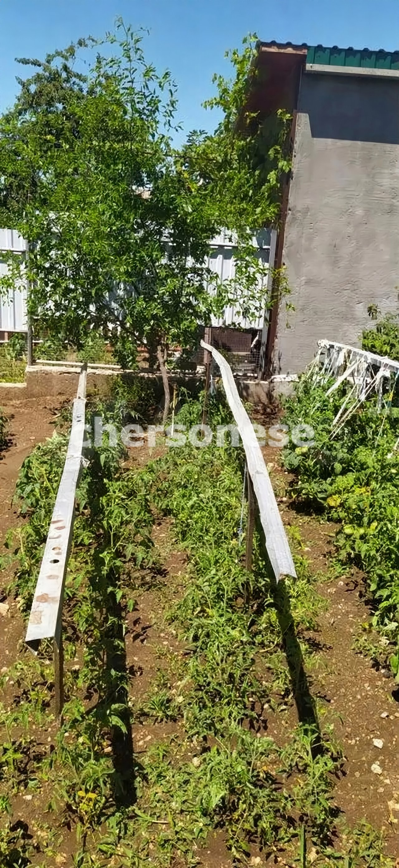 Продажа участка, Севастополь, территория СТ Восход