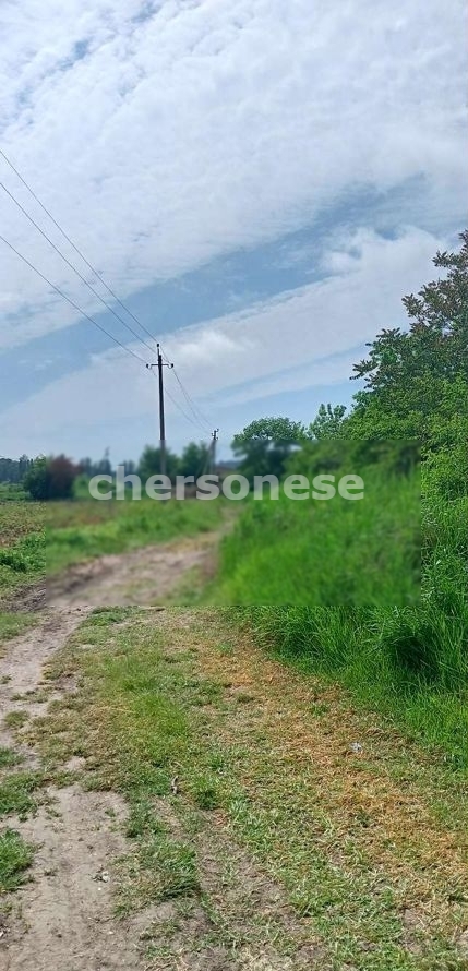 Участок на продажу в селе Фруктовое, улица Виноградная фото №4