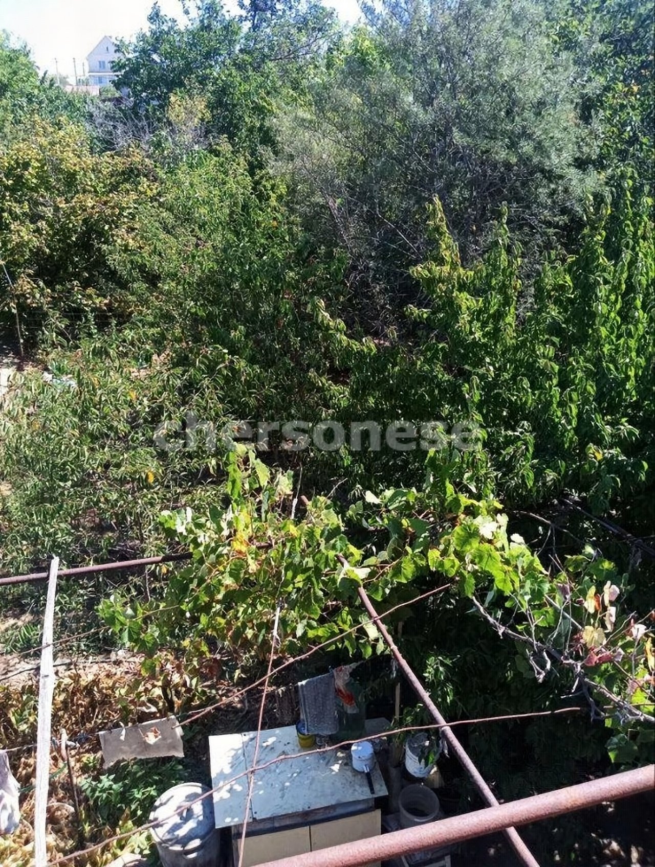 Продажа участка, Севастополь, территория СТ Зеленстрой