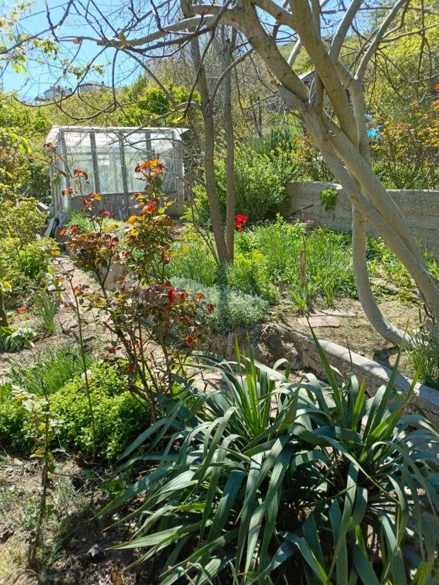 Продажа участка, Севастополь, территория СТ Тополек