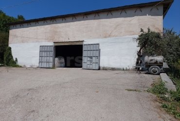 Херсонес Недвижимость