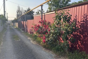 Херсонес Недвижимость