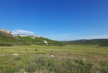 Херсонес Недвижимость