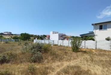 Херсонес Недвижимость