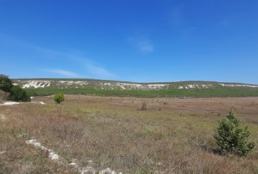 Херсонес Недвижимость