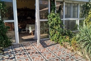 Херсонес Недвижимость