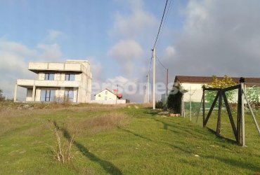 Херсонес Недвижимость