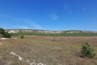 Херсонес Недвижимость