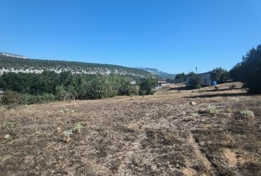 Херсонес Недвижимость