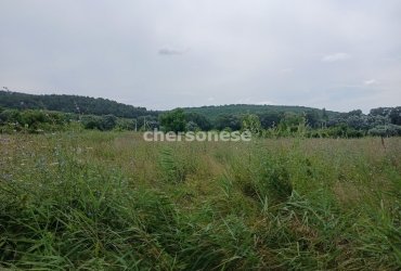 Херсонес Недвижимость